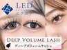 ★LEDマツエク★【濃密ディープボリュームラッシュ】 コーティング付 [500本]