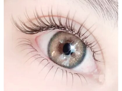 エムスタイルの写真