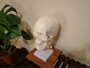 美容整体専門院 新美選/店内写真