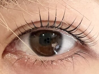 イデアル(ideal)/まつ毛パーマ