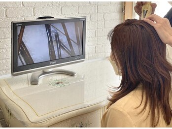 ノーブル/頭皮ケアカウンセリング