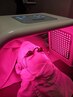 韓国肌管理で美肌☆毛穴洗浄(鼻、顎)×水光ピーリング×LED(90分)10000円
