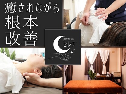 セレナ 川越の写真