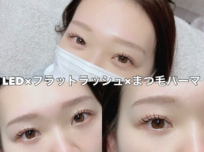 ニコ(nico)の写真