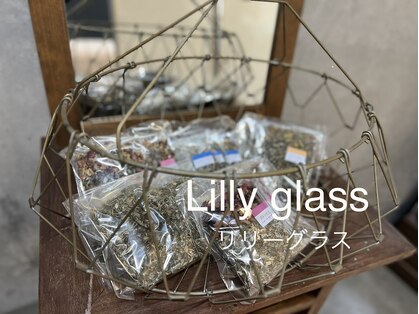 リリーグラス(Lily glass)の写真
