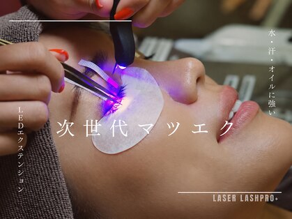 フェディス(Fedis)の写真
