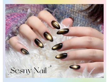 センシー ネイル スタジオ(Sensy Nail Studio)/ベース色付きの偏光マグネット