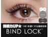 持続力UP! バインドロック!80束 ¥7980