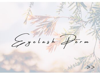 アマリリス(Amaryllis)/まつげパーマ→