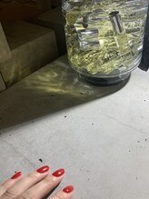 ザネクストキタホリエ(The Next...kitahorie)/ワンカラー