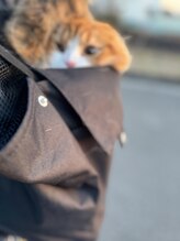 トムシー(TOMCY)&nbsp;naru .