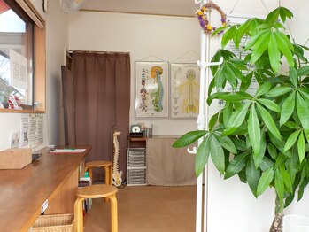 カイロプラクティック整体 松村/内観