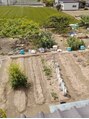 龍巳&nbsp;家庭菜園の全体写真です♪