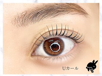 バニーラッシュ(Bunny Lash)/【まつげパーマ】