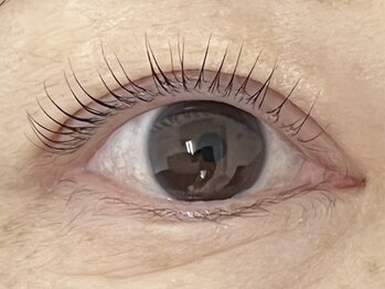 イコイ(ikoi)/【Instagram】@yuka_ikoi