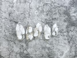 Plus　ニュアンスネイル