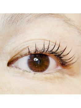 ミラージュ 市原(Miraju)/【SAKANO】フラットラッシュ80本