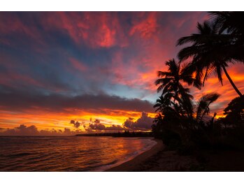 ハワイアンフォレストSpa 福岡天神店/サンセットビーチ