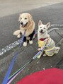 整体えびす丸 川越店 実家の愛犬♪