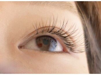 シマー(shimmer)/バインドロック60束