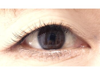 プロジェック/エクステ100本フラットラッシュ