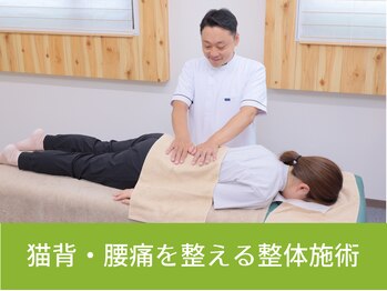 整体院いそはし/腰痛・姿勢を整える整体施術