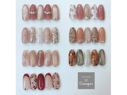 カノープス(Canopus)の写真