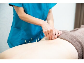 ハリリーナプラス(Haririna PLUS+)/施術イメージ