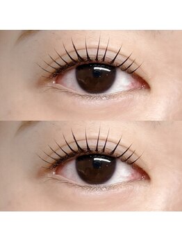 ベルーチェ(BELUCE)/パリジェンヌラッシュリフト