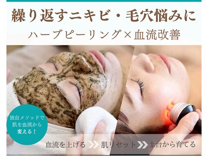 シーズン(Season)の写真