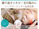 シーズン(Season)の写真