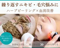 シーズン(Season)