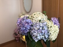 ピオニー(Peony)/◆内観◆