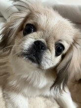 ニコ(nico)&nbsp;梅田 健太郎