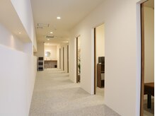 ハチ シンス 2023-(hachi-since 2023-)/店内風景