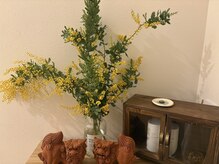 ミモザ(Mimosa)の雰囲気(落ち着いた空間作りを)