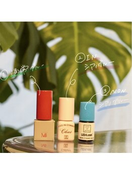 ステイゴールド(STAY GOLD)/