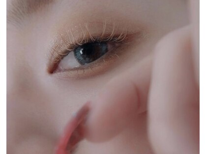 ロリー(Lolly.)の写真