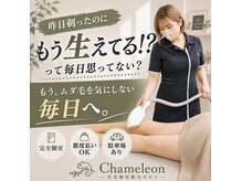 カメレオン 堺鳳店(Chameleon)