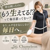 カメレオン 堺鳳店(Chameleon)
