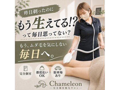 カメレオン 堺鳳店(Chameleon)の写真