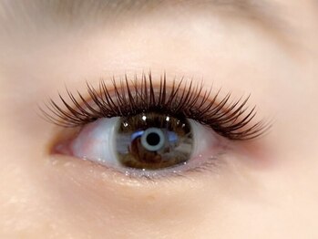 バタフライ 武蔵小杉店(Butterfly)/ダークモカ