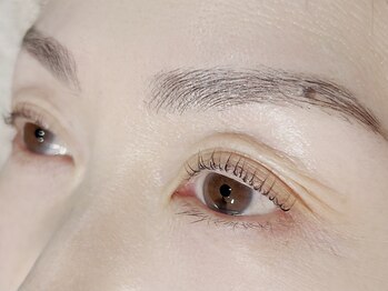 シャローム アローヴ(shalom alob)/眉毛パーマ+waxとまつ毛パーマ