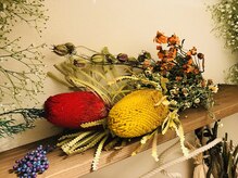 ルコラ(rucola)/パリの隠れ家風サロン