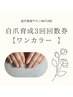 【自爪育成ジェル】【３回回数券】ワンカラー