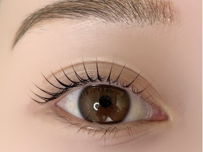 カミエ(Kamie)の写真