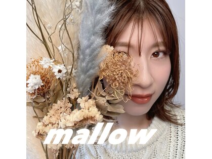 マロウアイラッシュ(mallow eyelash)の写真