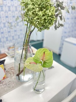 マシュマロハンド/よもぎ蒸し/冷え/むくみ改善