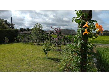 やましん施術院/裏庭風景