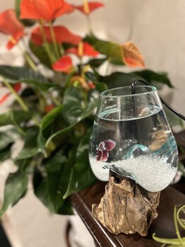 ラウレアココ(Laule'a Coko)/ラウレアくんがお出迎え♪